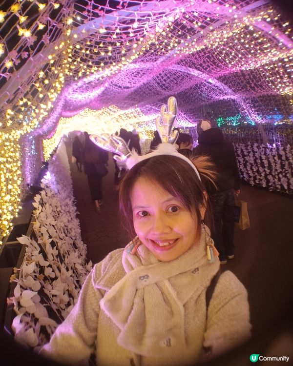 東京冬日大型灯飾 大井競馬場