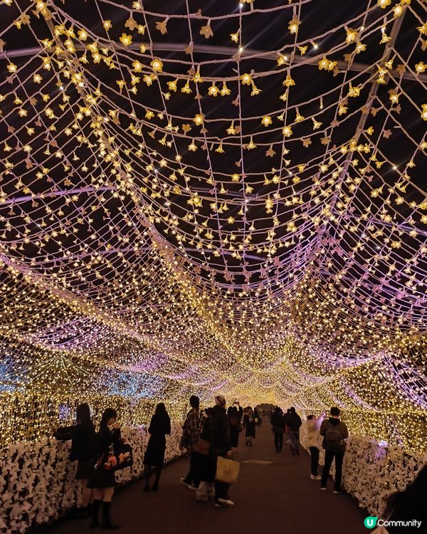 東京冬日大型灯飾 大井競馬場