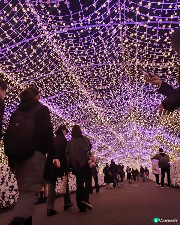 東京冬日大型灯飾 大井競馬場