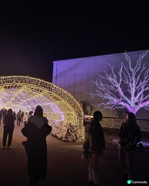 東京冬日大型灯飾 大井競馬場
