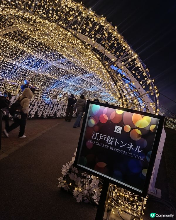 東京冬日大型灯飾 大井競馬場