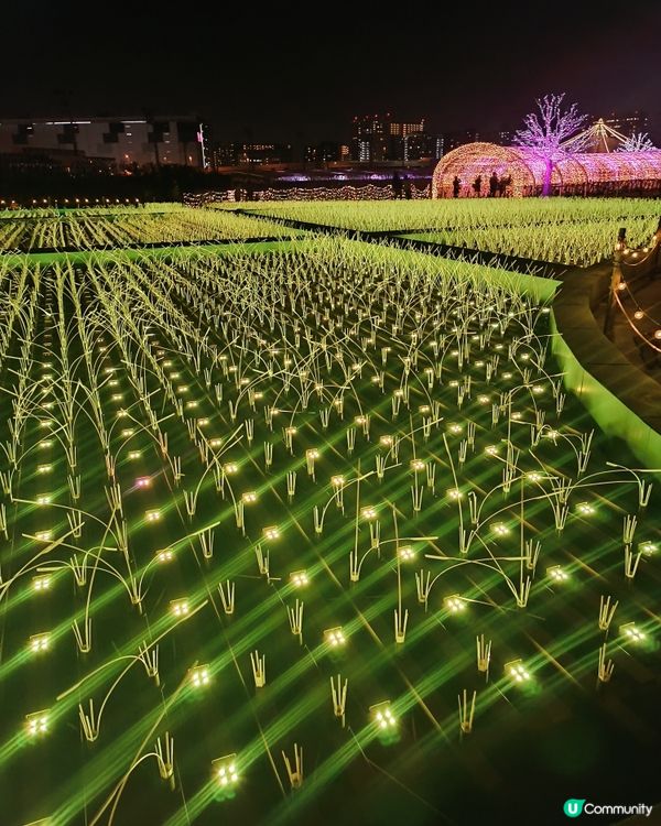 東京冬日大型灯飾 大井競馬場