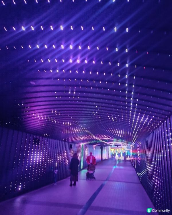 東京冬日大型灯飾 大井競馬場