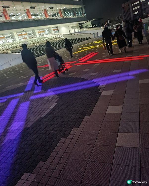 東京冬日大型灯飾 大井競馬場