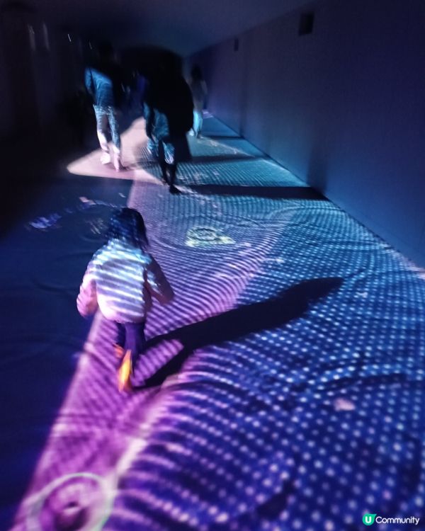 東京冬日大型灯飾 大井競馬場