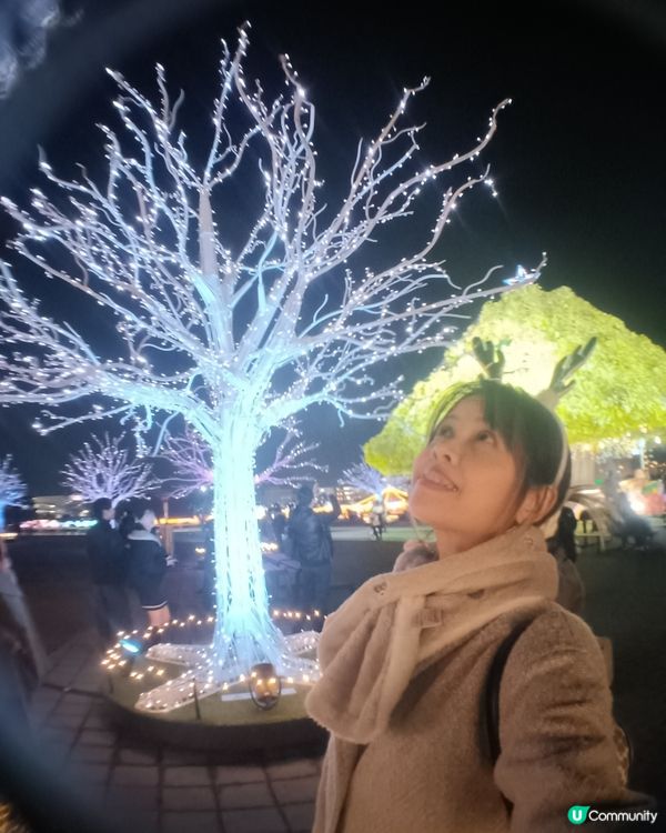 東京冬日大型灯飾 大井競馬場