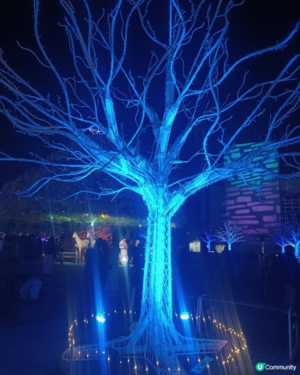 東京冬日大型灯飾 大井競馬場