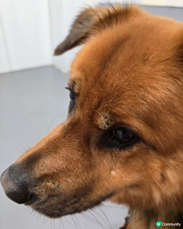 親子遊必去！愛協探訪，生命教育由細做起 🐾❤️