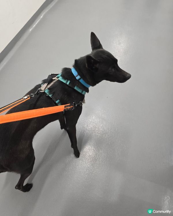 1.  親子遊必去！愛協探訪，生命教育由細做起 🐾❤️