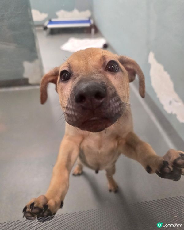 1.  親子遊必去！愛協探訪，生命教育由細做起 🐾❤️