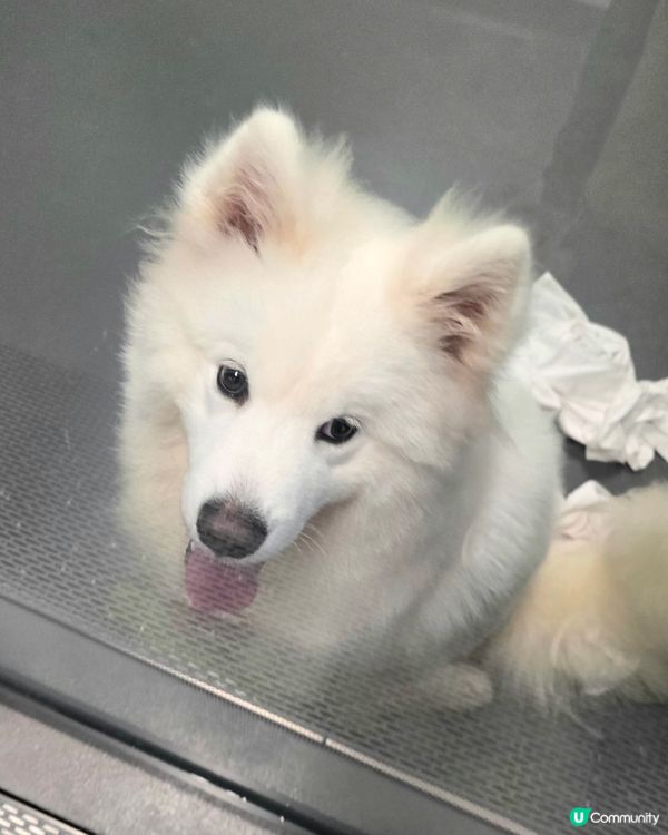 1.  親子遊必去！愛協探訪，生命教育由細做起 🐾❤️