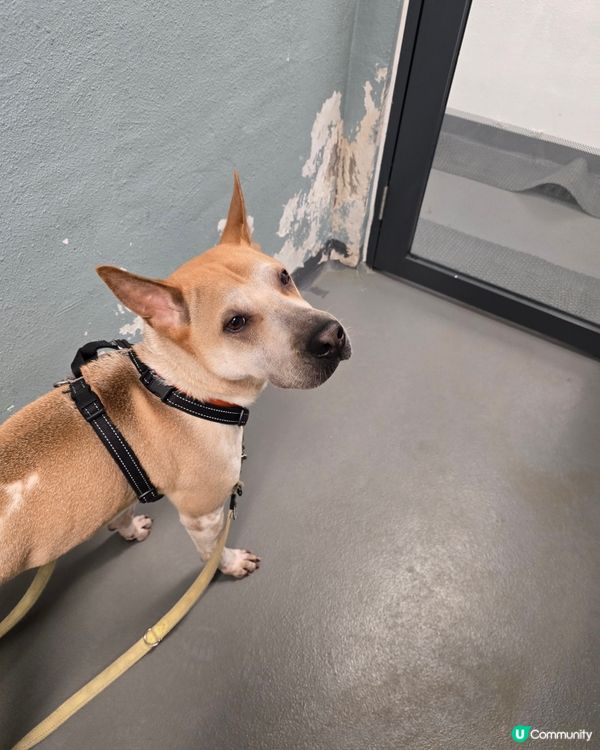 1.  親子遊必去！愛協探訪，生命教育由細做起 🐾❤️