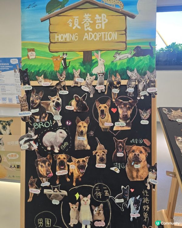 1.  親子遊必去！愛協探訪，生命教育由細做起 🐾❤️