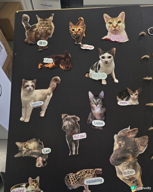 1.  親子遊必去！愛協探訪，生命教育由細做起 🐾❤️