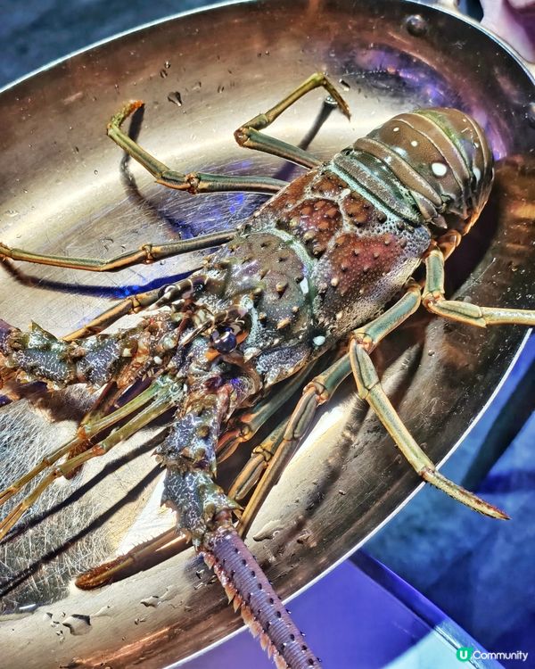 星空🌌主題🥳慶生🍽️餐廳