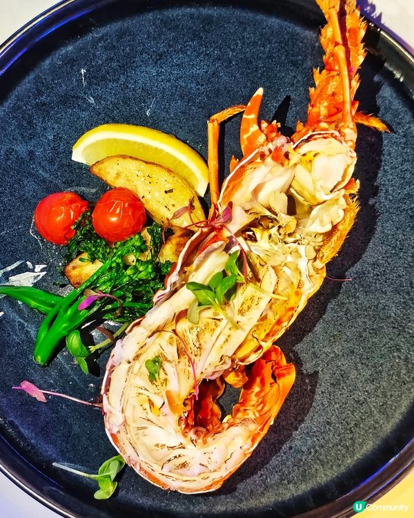 星空🌌主題🥳慶生🍽️餐廳