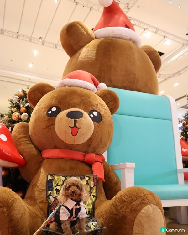 將軍澳廣場 巨大熊啤啤