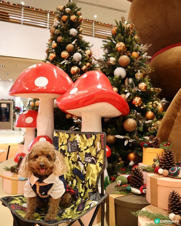 將軍澳廣場 巨大熊啤啤