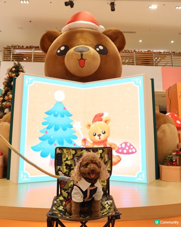 將軍澳廣場 巨大熊啤啤