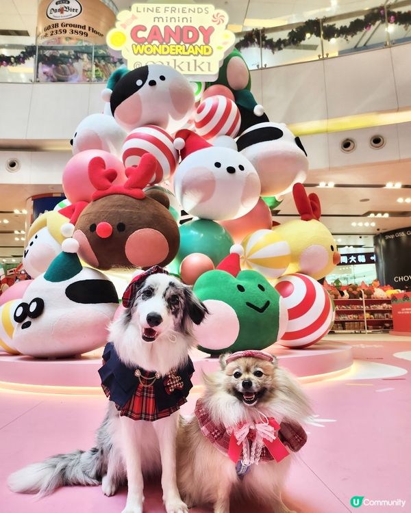 聖誕萌爆登場！糖果樂園打卡📸！