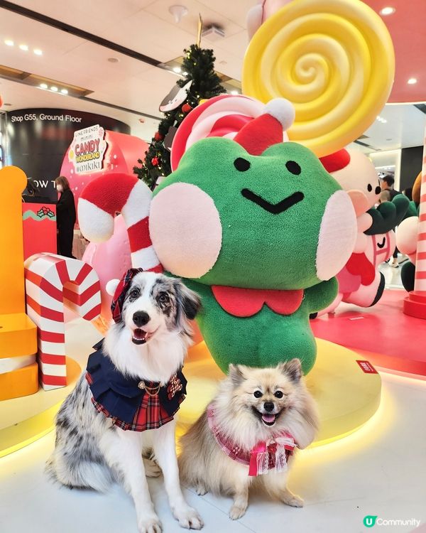 聖誕萌爆登場！糖果樂園打卡📸！