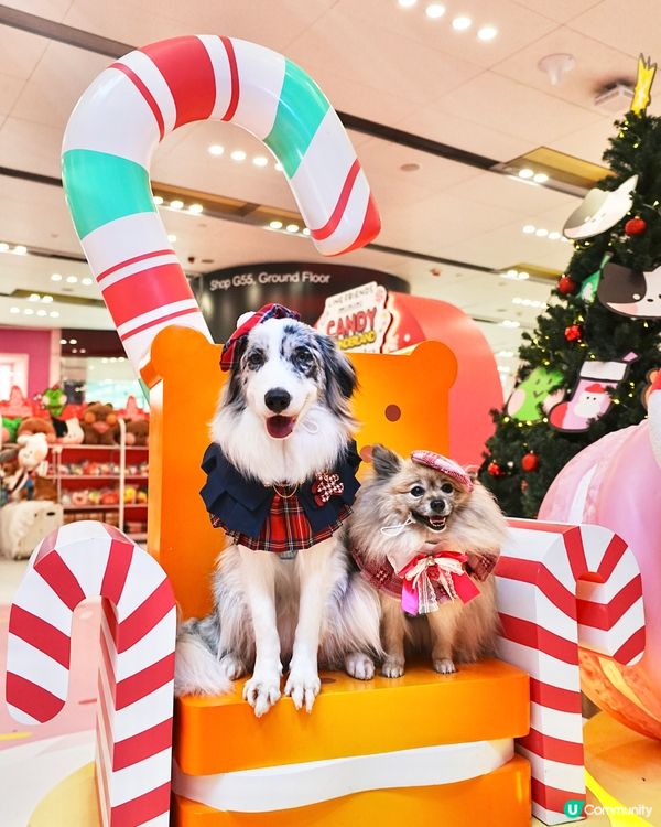 聖誕萌爆登場！糖果樂園打卡📸！