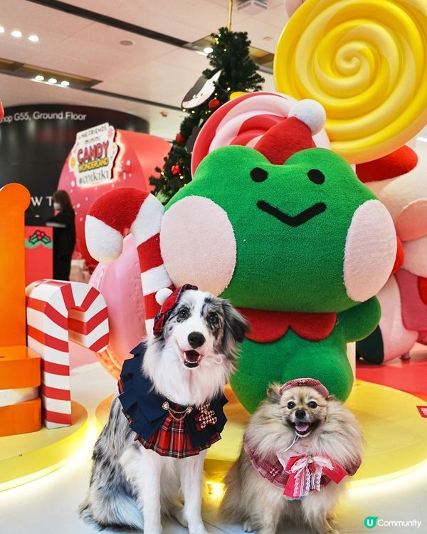 聖誕萌爆登場！糖果樂園打卡📸！