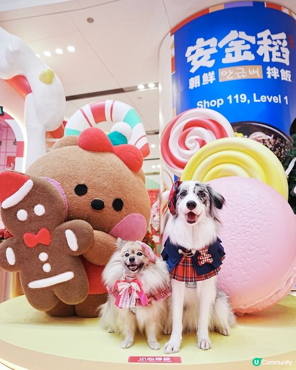 聖誕萌爆登場！糖果樂園打卡📸！