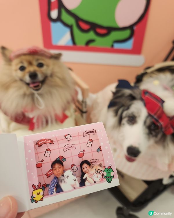 聖誕萌爆登場！糖果樂園打卡📸！