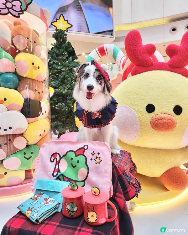 聖誕萌爆登場！糖果樂園打卡📸！