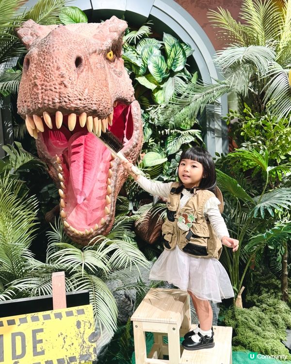 聖誕喵喵嚟料啦！萌爆喵樂園等你嚟玩😻！