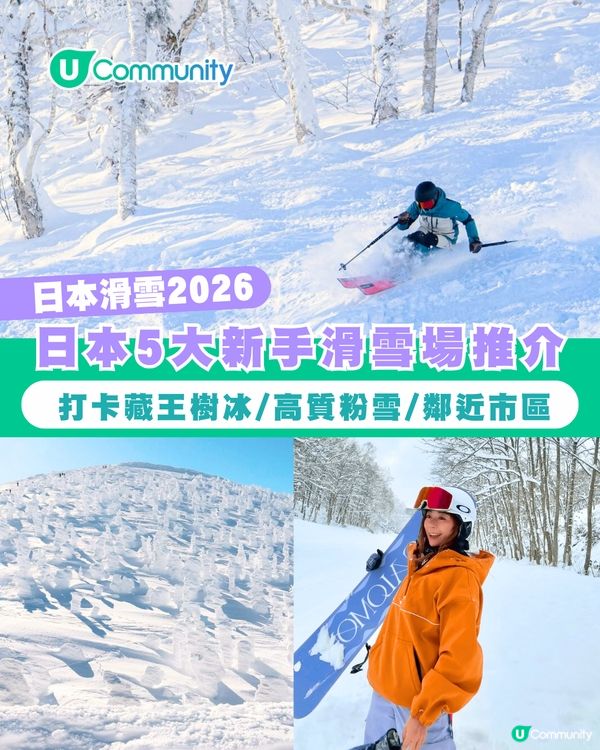 【日本滑雪】日本5大新手滑雪場推介 打卡藏王樹冰/高質粉雪/鄰近市區