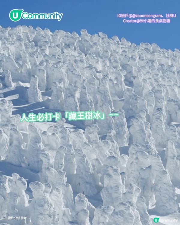 【日本滑雪】日本5大新手滑雪場推介 打卡藏王樹冰/高質粉雪/鄰近市區