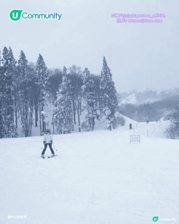 【日本滑雪】日本5大新手滑雪場推介 打卡藏王樹冰/高質粉雪/鄰近市區