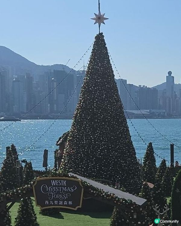 聖誕去西九打卡🎄