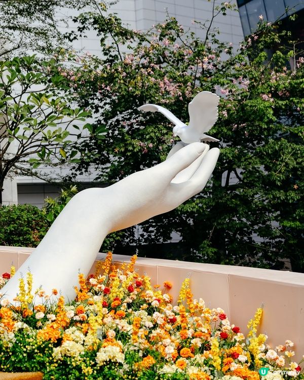 深圳冬日必打卡超浪漫「米蘭小鎮」☃️隨手一影都滿滿意式電影感🕊️