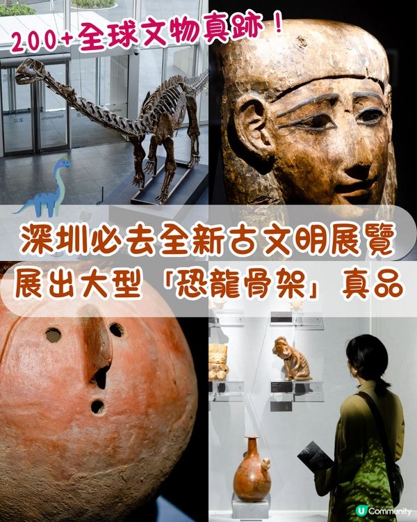 深圳展出超大型「恐龍骨架」真品🦕200+件全球文物真跡必去‼️