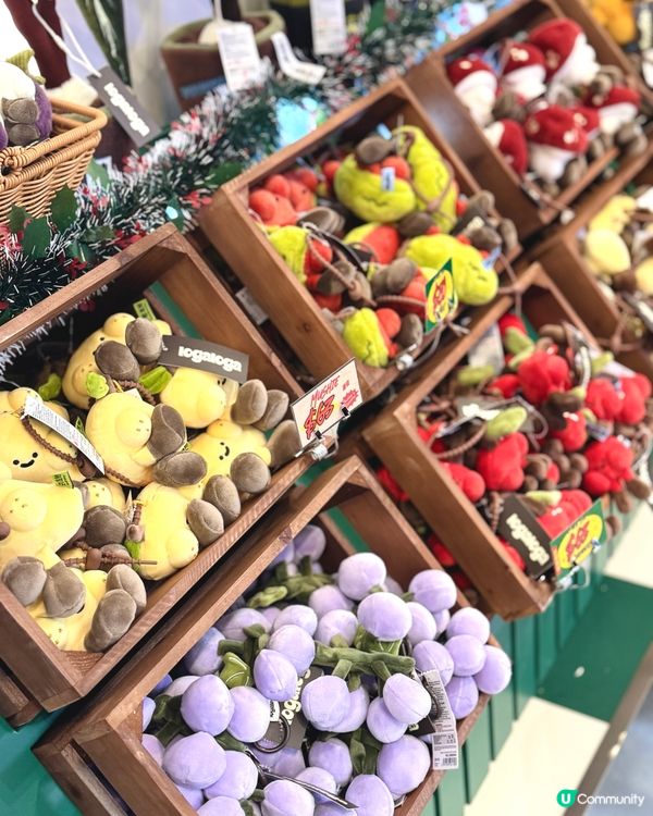 毛公仔快閃店！歐洲風雜貨店等你嚟🧸🎁