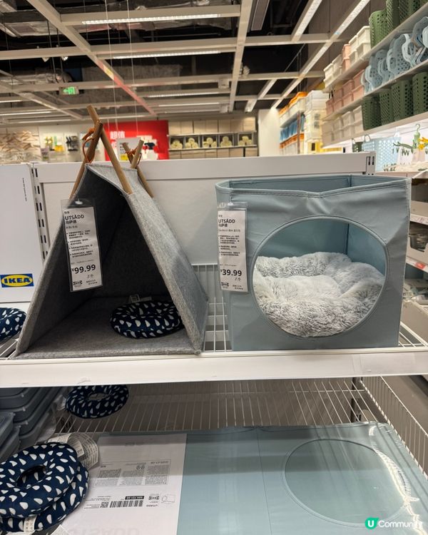 聖誕去邊好？深圳首個粉紅毛絨島登場🩷