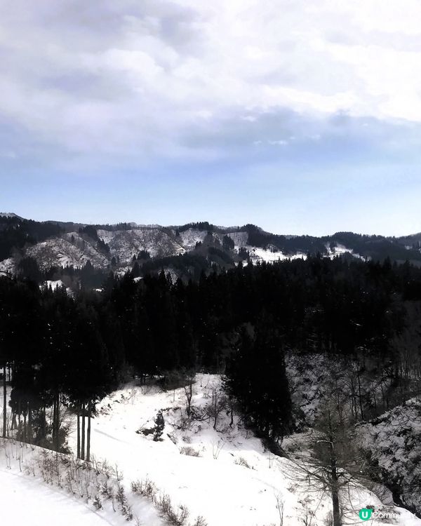 美人林❄️銀色童話世界！雪鞋漫步🌲