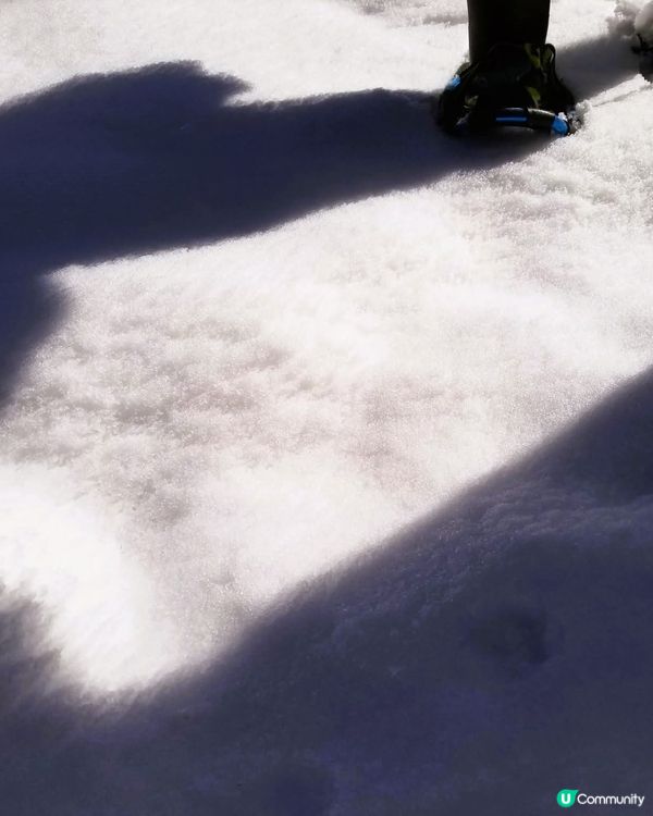 美人林❄️銀色童話世界！雪鞋漫步🌲