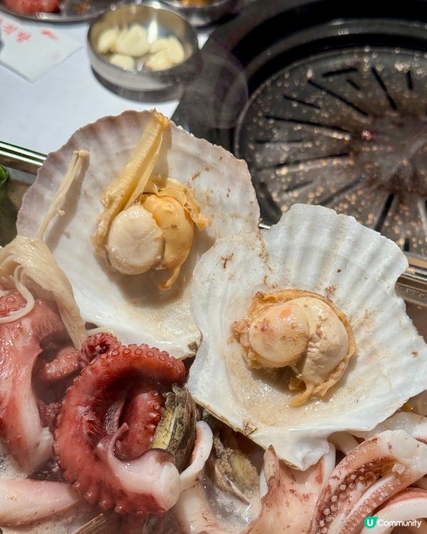 海鮮迷必食!超澎湃｢蛤蜊火鍋｣🍲