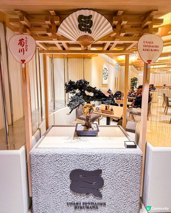 ❄️冬日限定  炙燒白燒鰻鍋御鱔♨️