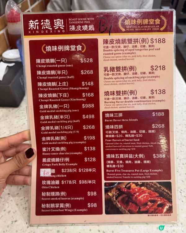 新德興陳皮燒鵝🤤！中環必食！🔥