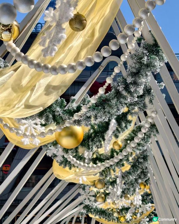 聖誕元旦去邊度？卓悅打卡一流！📸🎄