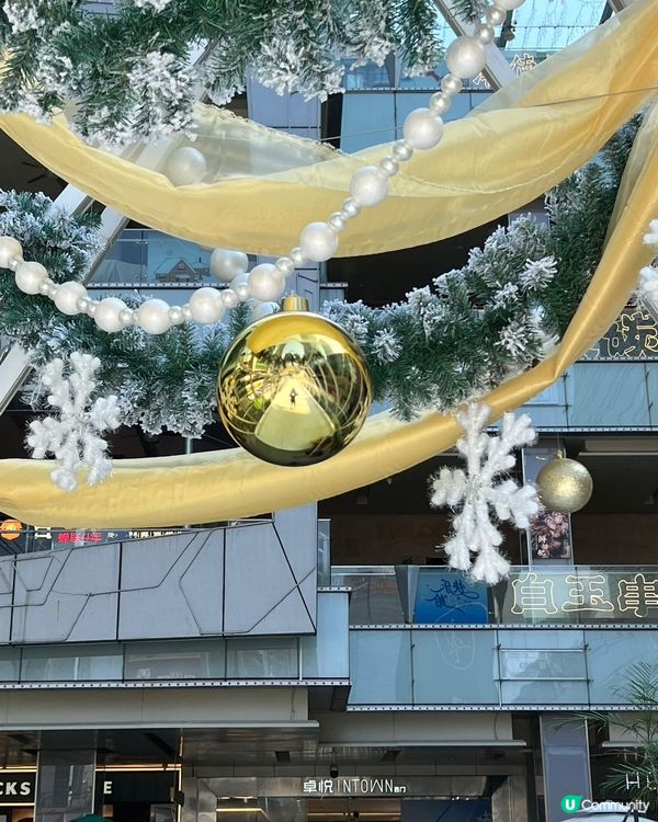 聖誕元旦去邊度？卓悅打卡一流！📸🎄