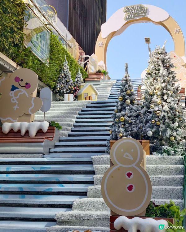 聖誕元旦去邊度？卓悅打卡一流！📸🎄