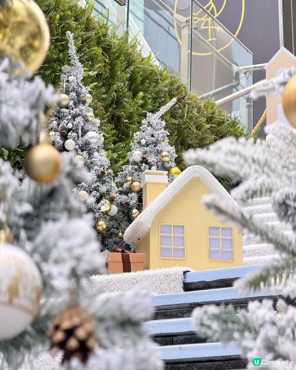 聖誕元旦去邊度？卓悅打卡一流！📸🎄