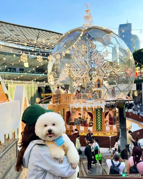 童話水晶球搬進現實！少女心爆發💖