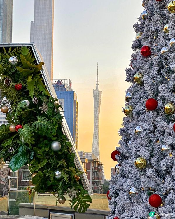 童話水晶球搬進現實！少女心爆發💖